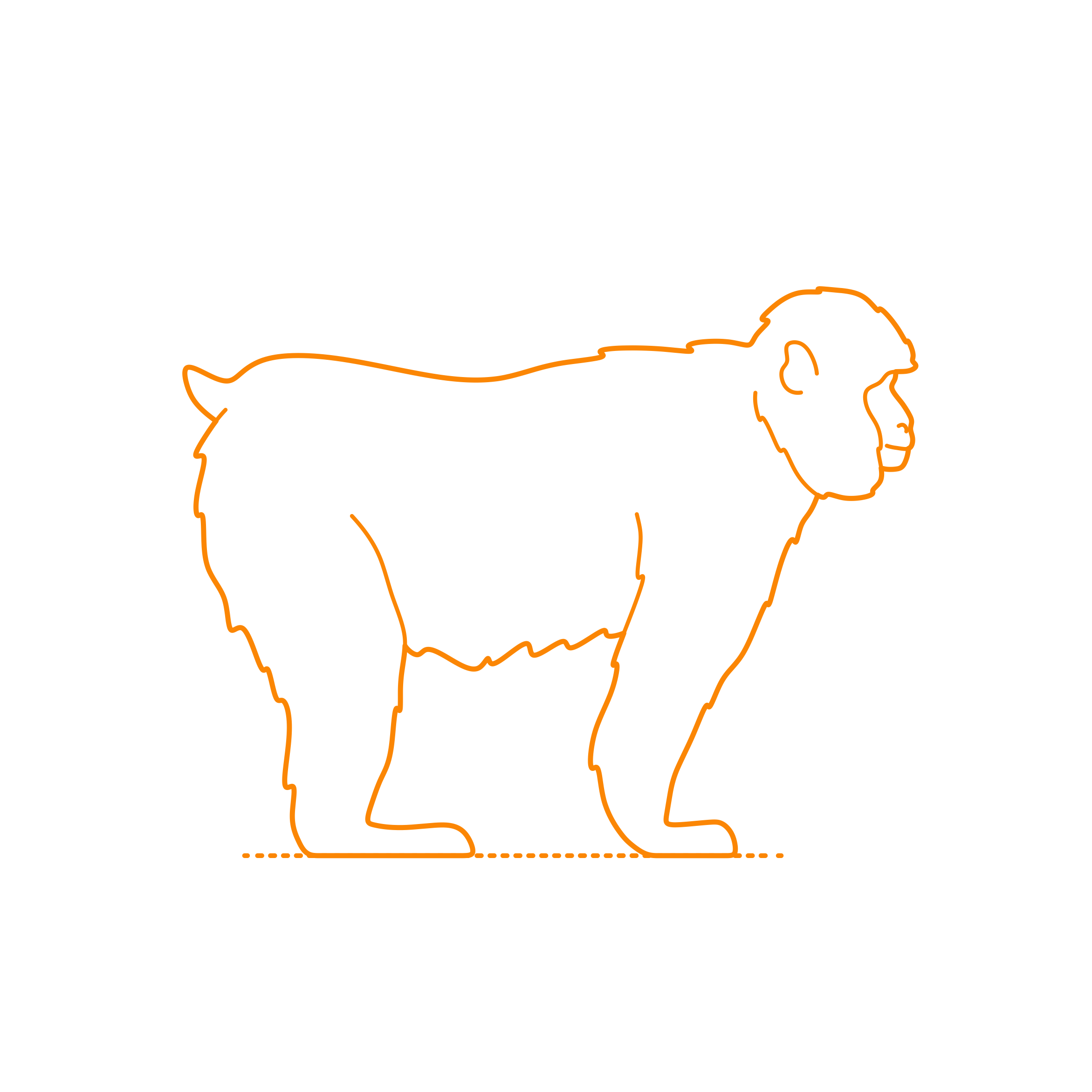 Animals Old World Monkeys Japanese Macaque Sketch Style Svg Vector Free Vectors